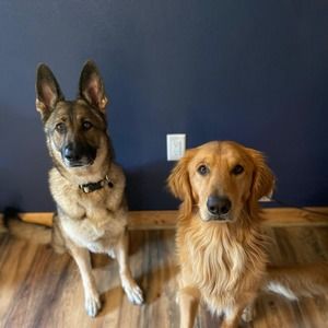 Meet your Posher, Cassandra